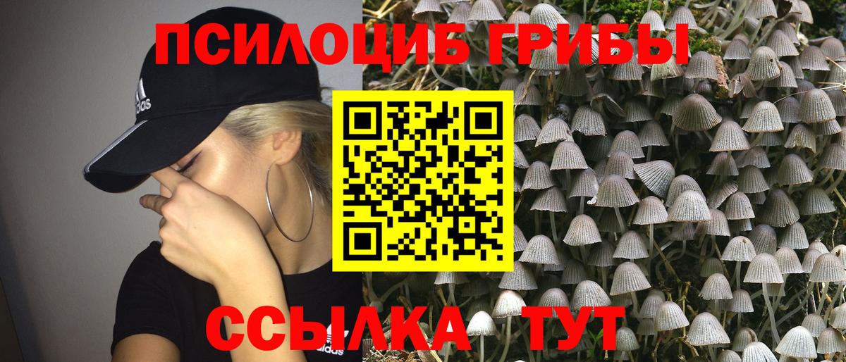 Псилоцибиновые грибы мухоморы Йошкар-Ола